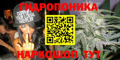 2c-b Заводоуковск