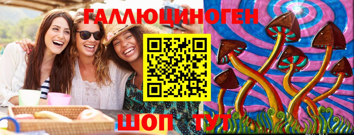 Курчалой  Галлюциногенные грибы мухоморы  Вход с VPN 