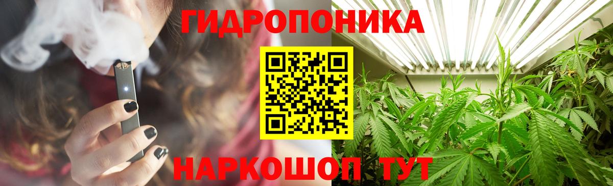 Каннабис план  Вход с VPN  Бошки Шишки сатива  Курчалой  Каннабис OG Kush 